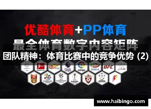 团队精神：体育比赛中的竞争优势 (2)