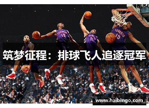 筑梦征程：排球飞人追逐冠军