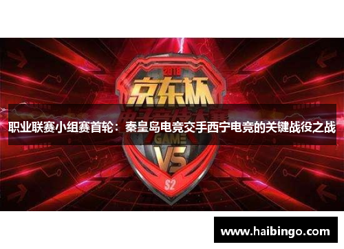 职业联赛小组赛首轮：秦皇岛电竞交手西宁电竞的关键战役之战