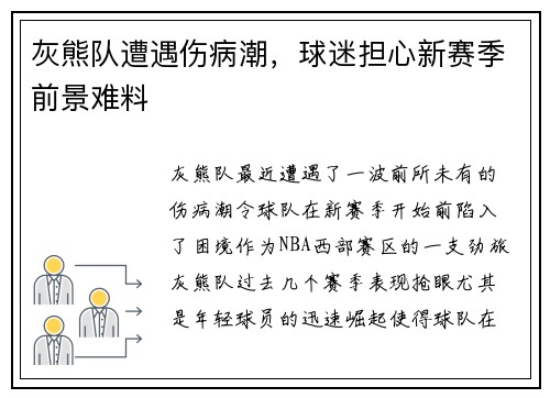 灰熊队遭遇伤病潮，球迷担心新赛季前景难料